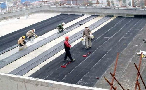 青浦區外墻防水服務與建筑勞務分包 同心協力，共筑品質