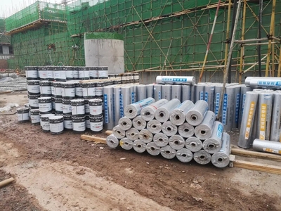 機場口岸新防線 科順助力打造國際健康服務中心，構筑平安國門